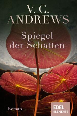 Book cover of Spiegel der Schatten