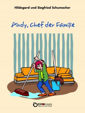Cover of the book Andy, Chef der Familie by Rainer Hohberg