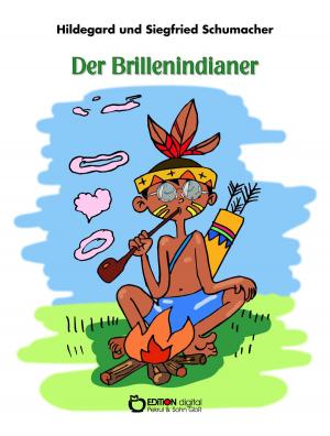 Cover of the book Der Brillenindianer by Heinz-Jürgen Zierke