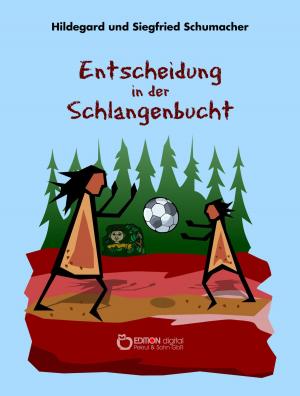 Cover of the book Entscheidung in der Schlangenbucht by Klaus Möckel