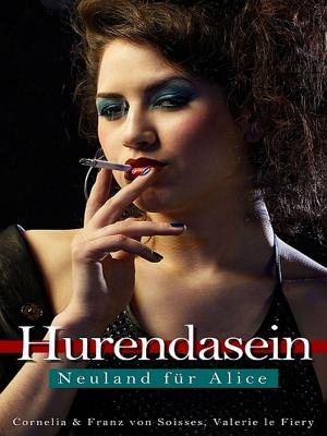 Cover of the book Hurendasein - Neuland für Alice by Berthold Madhukar Thompson