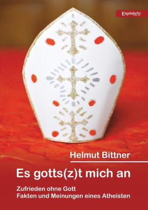 Cover of the book Es gotts(z)t mich an: Zufrieden ohne Gott by Malte Kerber