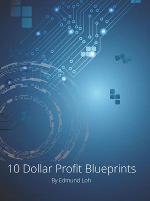 Cover of the book 10 Dollar Profit Blueprints by Tayo Abobarin