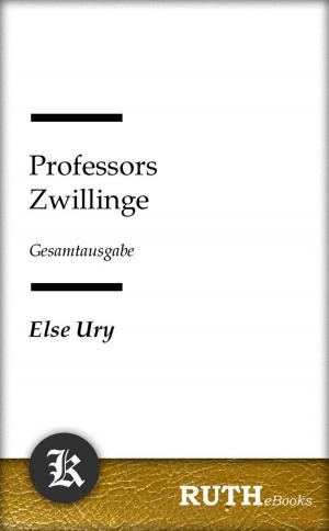 Cover of the book Professors Zwillinge by Edgar Allan Poe