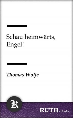 Book cover of Schau heimwärts, Engel!