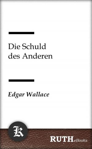 Cover of the book Die Schuld des Anderen by Charlotte Brontë