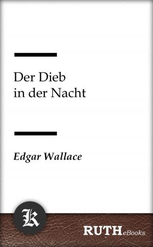 Cover of the book Der Dieb in der Nacht by Edgar Allan Poe