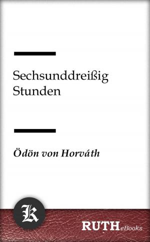 Cover of Sechsunddreißig Stunden