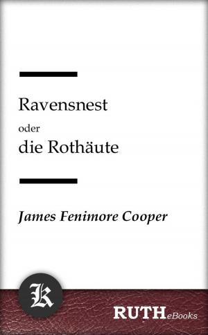 Cover of the book Ravensnest oder die Rothäute by Theodor Storm