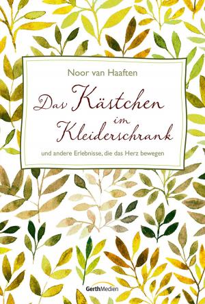 Cover of Das Kästchen im Kleiderschrank