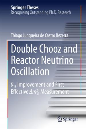 Book cover of Double Chooz and Reactor Neutrino Oscillation
