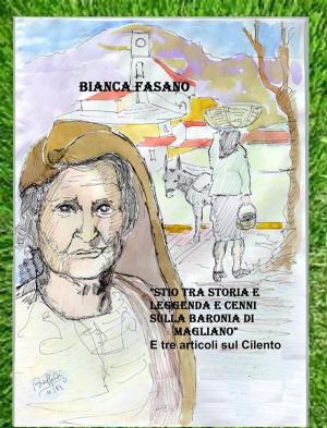 Cover of "Stio tra storia e leggenda e cenni sulla baronia di Magliano"