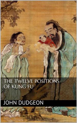 Cover of the book The Twelve Positions of Kung Fu by Tanja Alexa Holzer