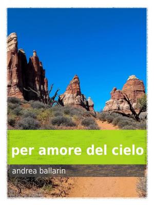 Cover of the book per amore del cielo by Astrid Davidzon