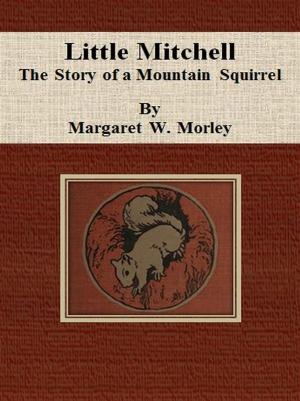 bigCover of the book Little Mitchell: The Story of a Mountain Squirrel by 