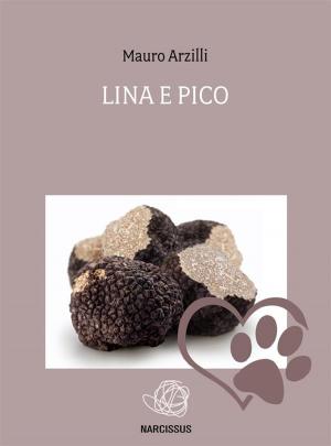 Cover of the book Lina e Pico by Jim Barrass