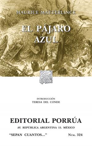 Book cover of El Pájaro Azul