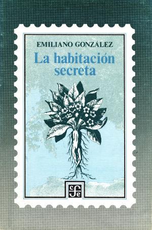 Cover of the book La habitación secreta by Erika Pani