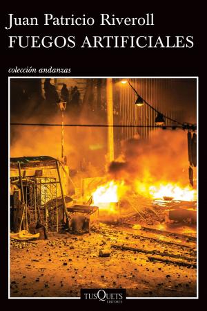 Cover of the book Fuegos artificiales by Francisco Ortega, Nelson Daniel