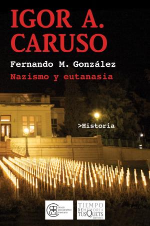 Cover of the book Igor A. Caruso by Christophe Brusset