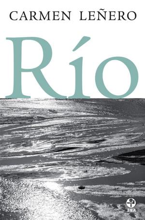 Cover of the book Río by Coral Bracho