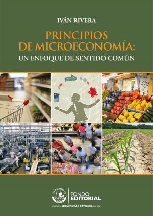 Cover of the book Principios de Microeconomía by Juan Ossio