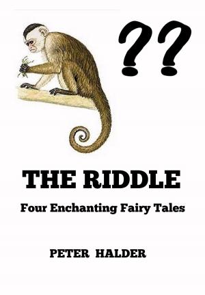 Book cover of The Riddle