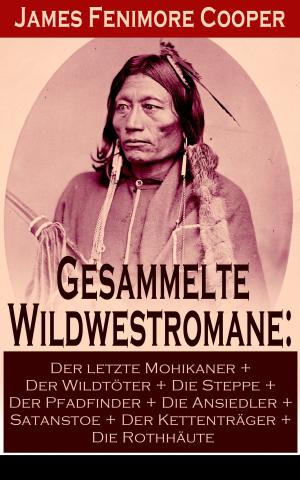 Cover of the book Gesammelte Wildwestromane: Der letzte Mohikaner + Der Wildtöter + Die Steppe + Der Pfadfinder + Die Ansiedler + Satanstoe + Der Kettenträger + Die Rothhäute by Gustav Frenssen