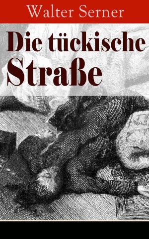 Book cover of Die tückische Straße