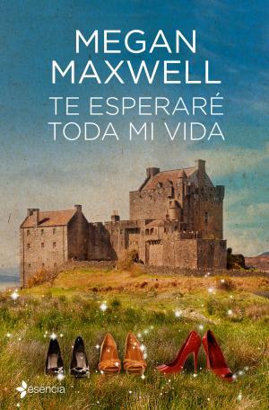 Cover of the book Te esperaré toda mi vida by T Swanepoel