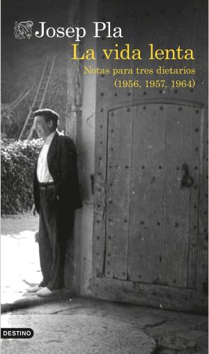 Cover of the book La vida lenta (traducción española) by Meik Wiking