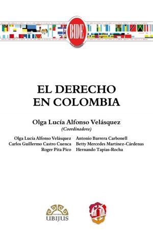 Cover of the book El Derecho en Colombia by Rosa Carmen Rascón Gasca, Jorge Fernández Ruiz