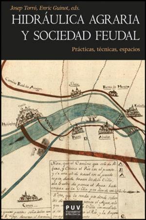 Cover of the book Hidráulica agraria y sociedad feudal by Max Aub