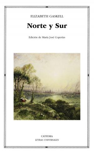 Cover of the book Norte y Sur by Diego Martínez Torrón