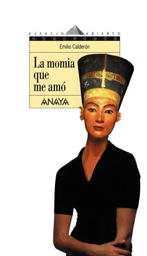 Cover of the book La momia que me amó by Ana Alcolea