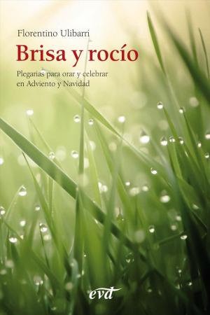 Cover of the book Brisa y rocío by Rafael Aguirre