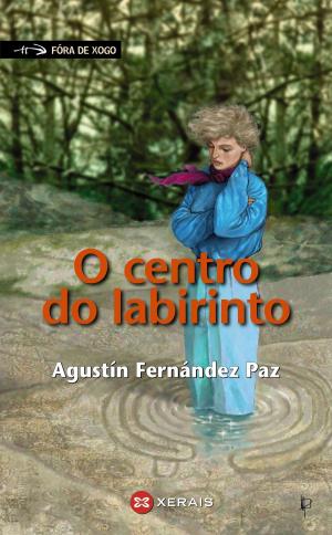 Cover of the book O centro do labirinto by Oscar Wilde