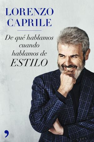 Cover of the book De qué hablamos cuando hablamos de estilo (nueva presentación) by Romina Naranjo