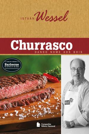 Cover of the book Churrasco by Helen Willinsky