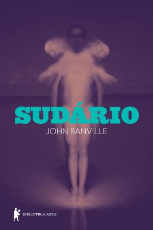Book cover of Sudário