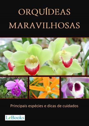 Cover of Orquídeas maravilhosas