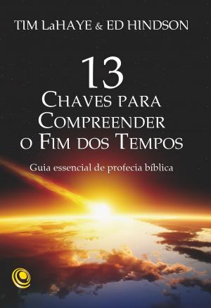 Cover of the book 13 chaves para compreender o Fim dos Tempos by Grace Scott