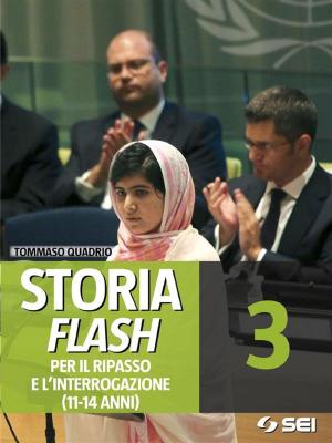 Cover of the book Storia Flash 3 - Per il ripasso e l'interrogazione by Madge Gressley