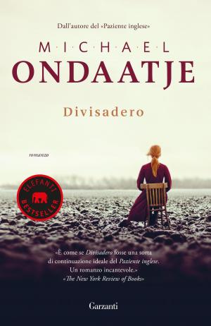 Book cover of Divisadero