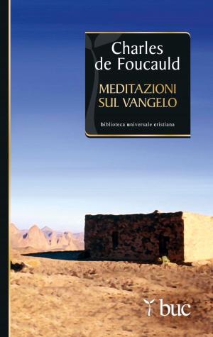 Cover of the book Meditazioni sul Vangelo by Benoît Standaert
