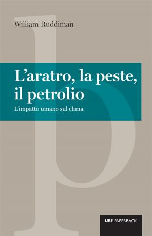 Cover of the book L'aratro, la peste e il petrolio by Vincenzo Capizzi