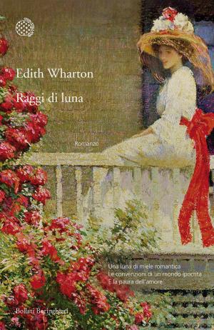 Cover of the book Raggi di luna by Georges Perec