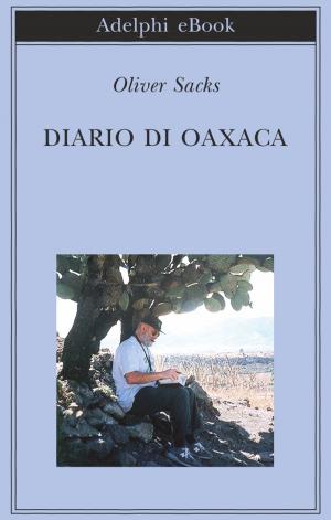 Cover of the book Diario di Oaxaca by René Daumal