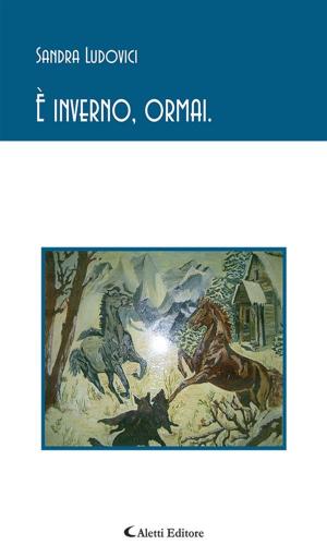 Book cover of È inverno, ormai.