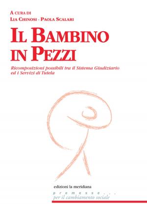 Book cover of Il bambino in pezzi